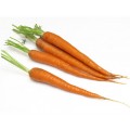 Морковь ранняя б/сердцевины